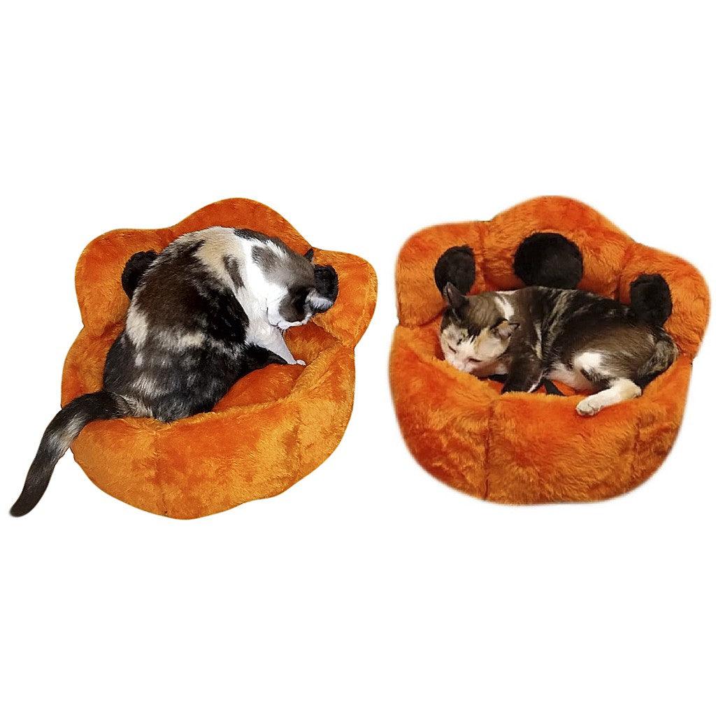 Caminha Estilo Pata para Pets