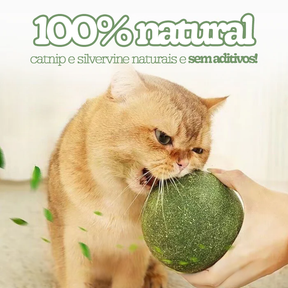 Bola de Catnip Gigante para Gatos