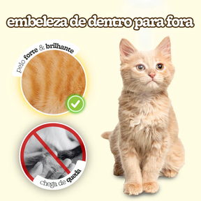 Óleo de Peixe Cremoso para Gatos