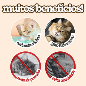 Brinquedo Pega-Pega Inteligente para Gatos