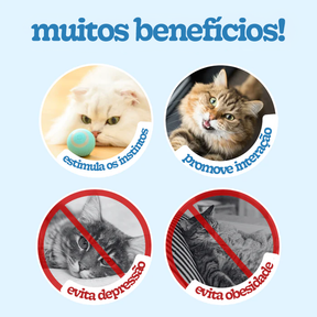 Bolinha Inteligente para Gatos