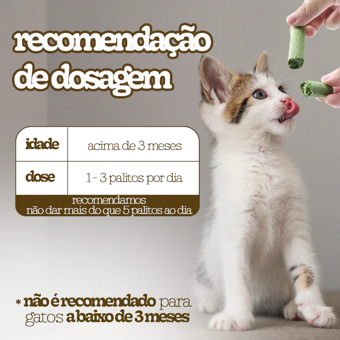 Bastões de Grama Comestíveis para Gatos