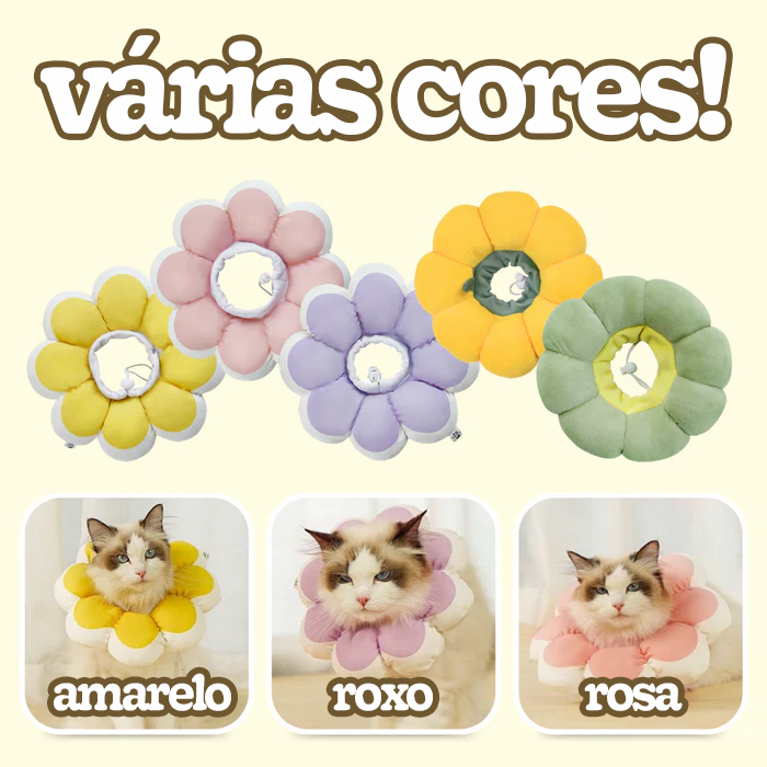 Cone Flor para Gatos (Colar Elizabetano)