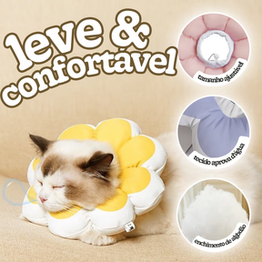 Cone Flor para Gatos (Colar Elizabetano)