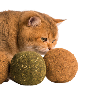 Bola de Catnip Gigante para Gatos