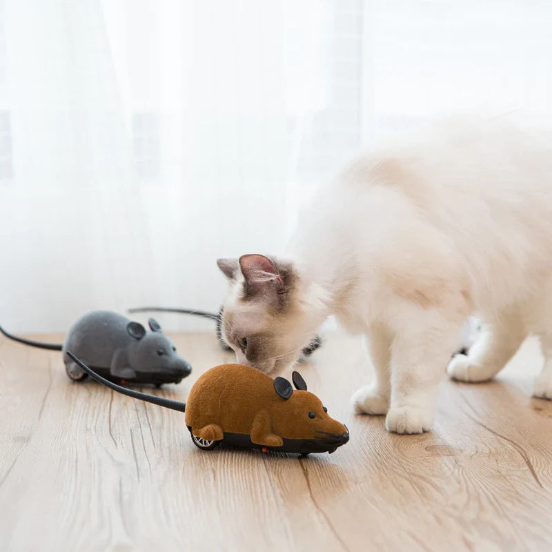 Brinquedo Rato de Controle Remoto para Gatos