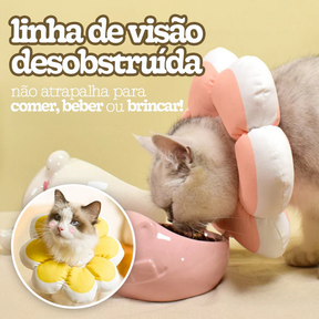 Cone Flor para Gatos (Colar Elizabetano)