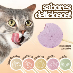 Pirulitos Naturais para Gatos