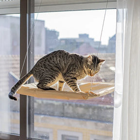 Cama de Janela Suspensa para Gatos