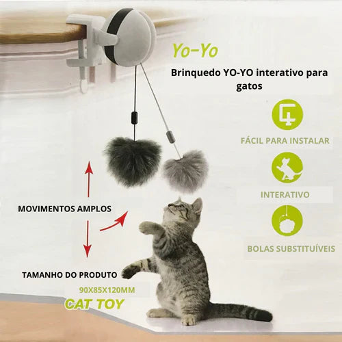 Brinquedo ioiô Elétrico para Gatos