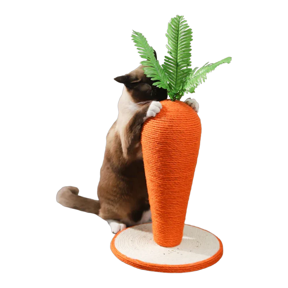 Arranhador Cenoura para Gatos