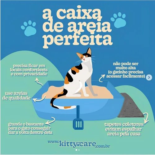 Post da KittyCare no Instagram