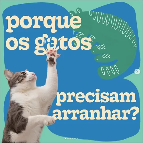 Post da KittyCare no Instagram