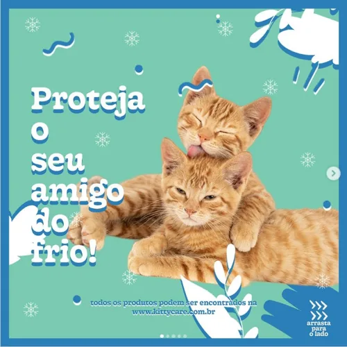 Post da KittyCare no Instagram