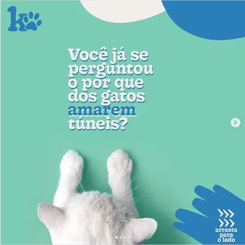 Post da KittyCare no Instagram