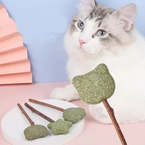 Pirulitos Naturais para Gatos